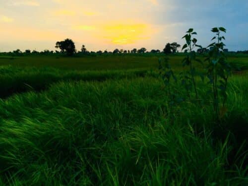 Key Provisions in COVID-19 Stimulus Bills, Webinars, Checklists